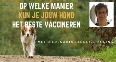 Op Welke Manier Kun Je Jouw Hond Het Beste Vaccineren met Tannetje Koning